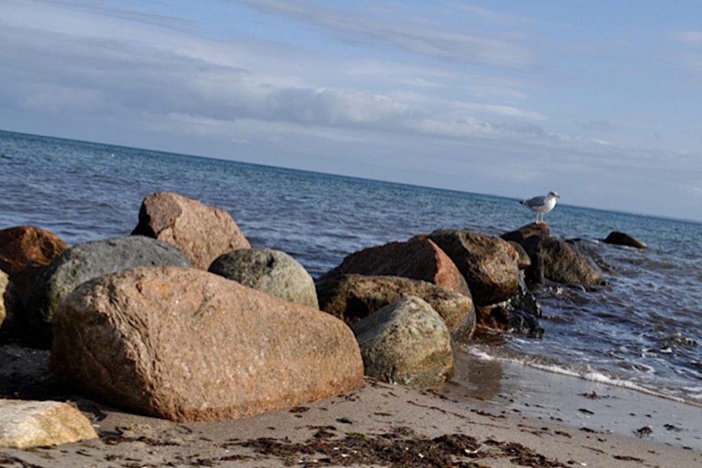 Große, rötliche und graue Findlinge am Sandstrand von Grömitz, im Hintergrund die ruhige blaue Ostsee unter einem bewölkten Himmel und eine Möwe, die auf einem Stein sitzt.